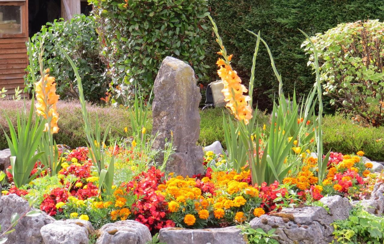 Tyreda Bed & Breakfast Ennis Dış mekan fotoğraf