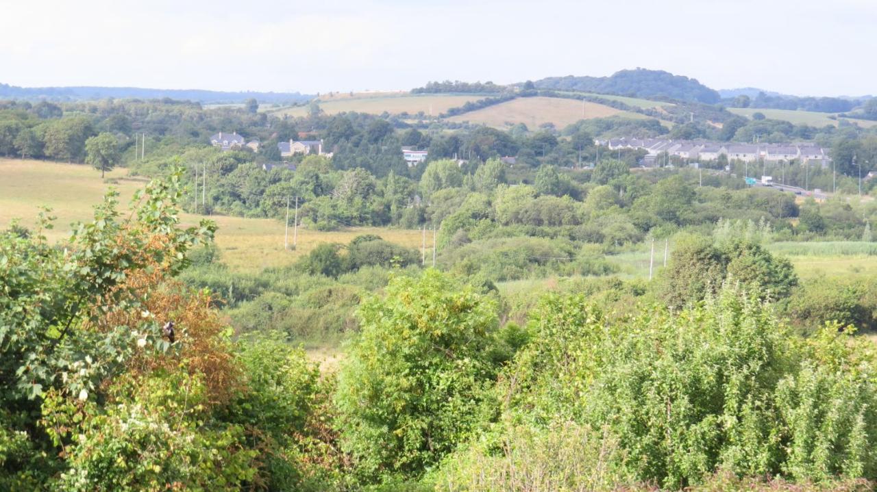 Tyreda Bed & Breakfast Ennis Dış mekan fotoğraf